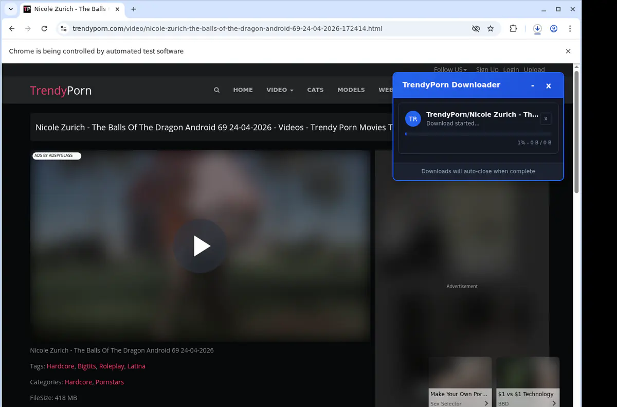 Trendyporn Video Downloader browser extension screenshot 2
