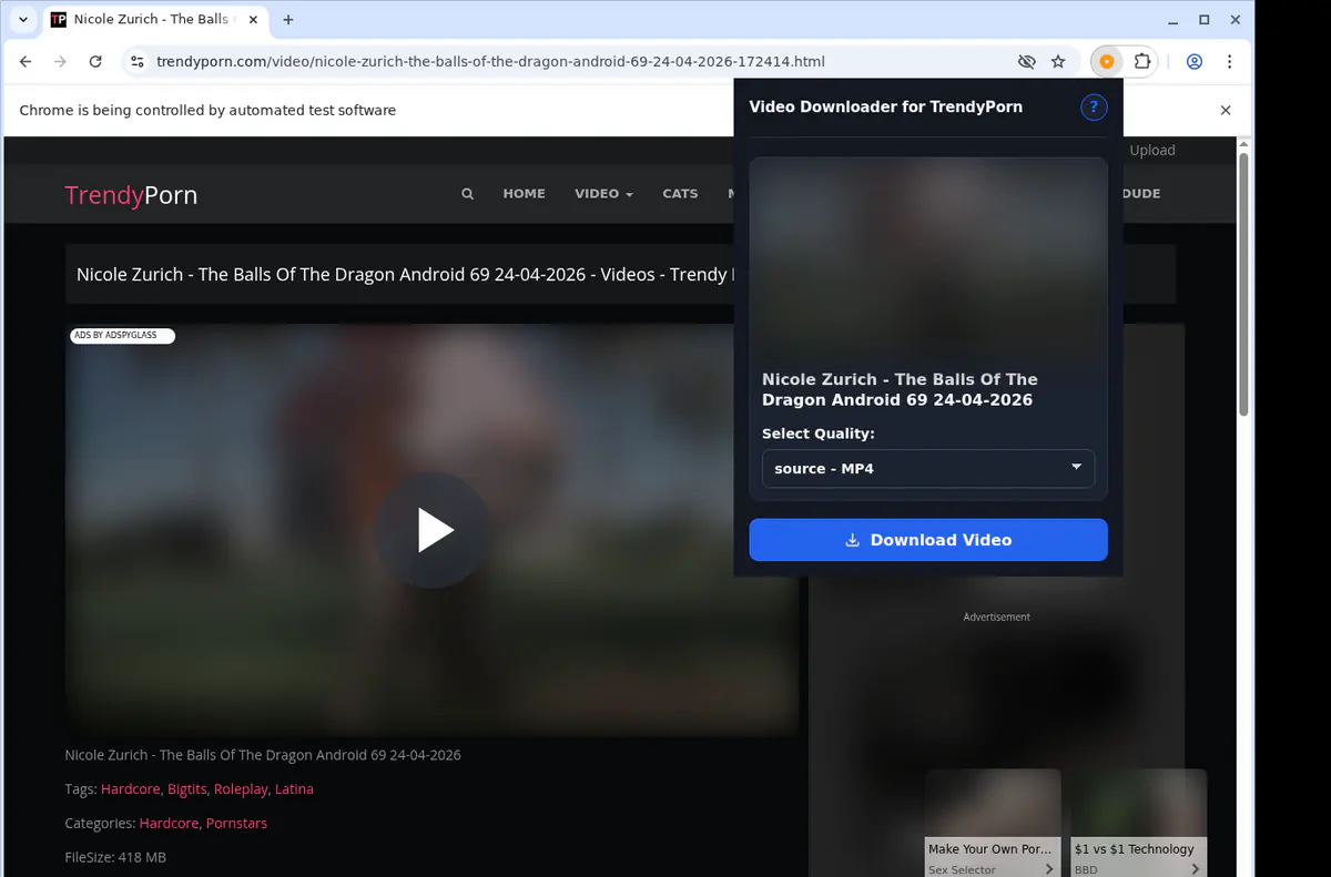 Trendyporn Video Downloader browser extension screenshot 3